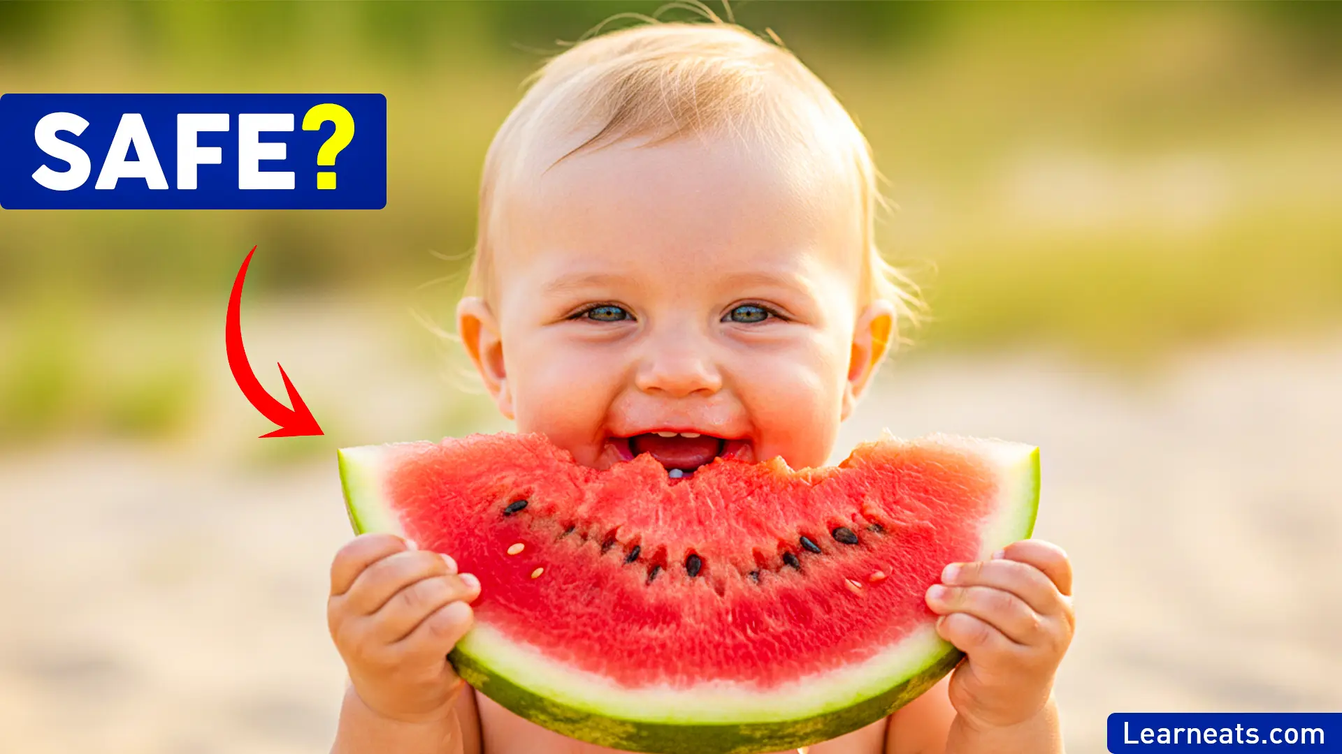 Babies Eat Watermelon - Learn Eats
