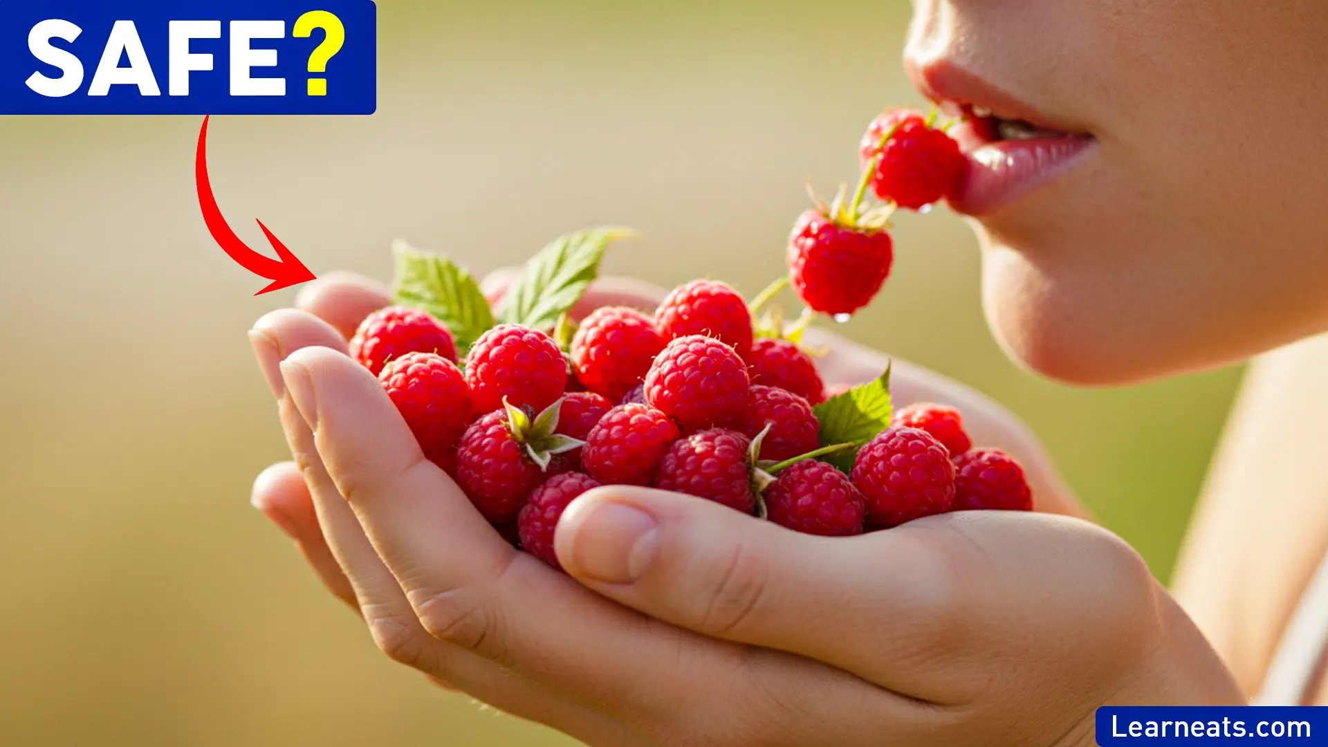 Eat Wild Raspberries